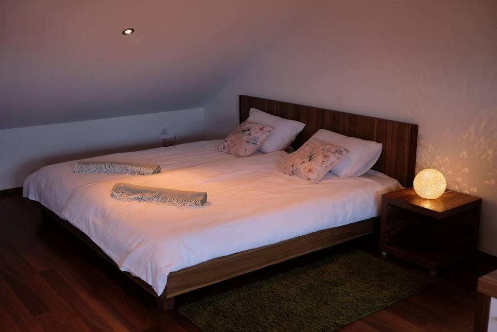 Vikend Hisa Vrhe Villa Senovo Exteriör bild