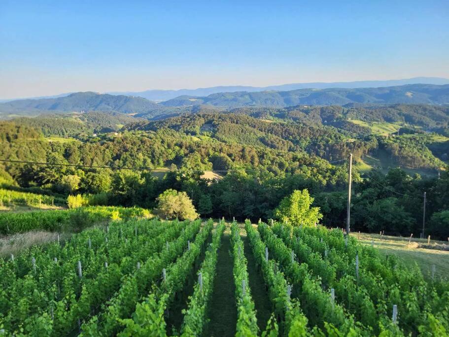 Vikend Hisa Vrhe Villa Senovo Exteriör bild